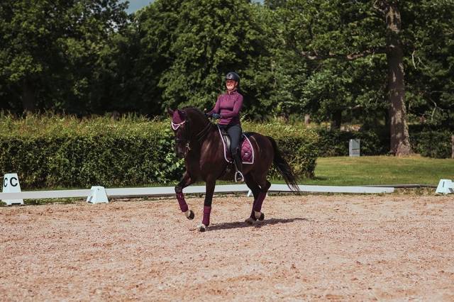 Tapis de selle Purple White Edge - Equestrian Stockholm