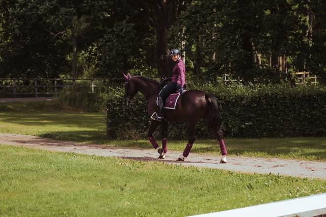 Tapis de selle Purple White Edge - Equestrian Stockholm