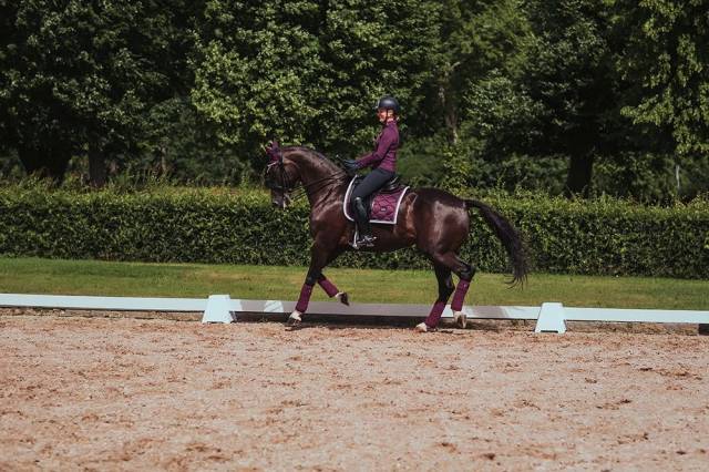 Tapis de selle Purple White Edge - Equestrian Stockholm