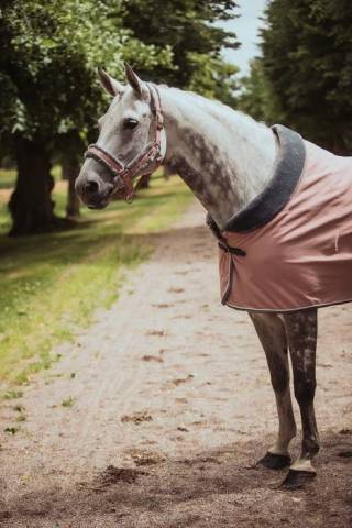 Couverture Polaire Col Mouton Equestrian Stockholm - Pink