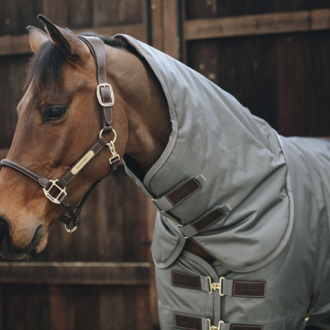 Couvre-cou All Weather imperméable pro 150G - Kentucky