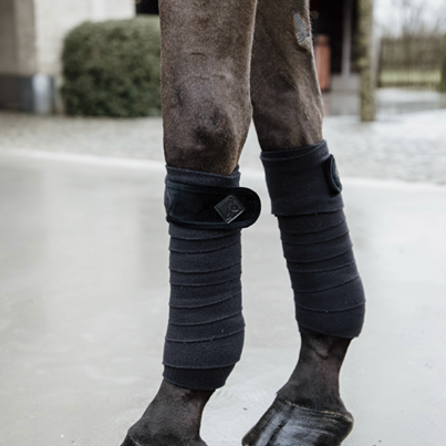 Bandes de polo Basic Velvet  - Kentucky