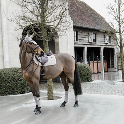 Bandes de polo Basic Velvet  - Kentucky