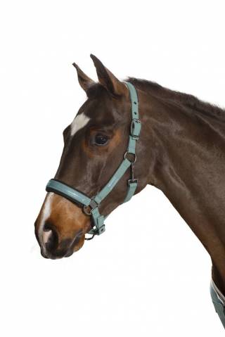 Licol Douplepin Softshell Classic Sport S/S 2021 - Eskadron