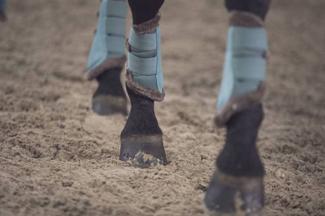 Guêtres Mesh Fauxfur Classic Sport S/S 2021 - Eskadron