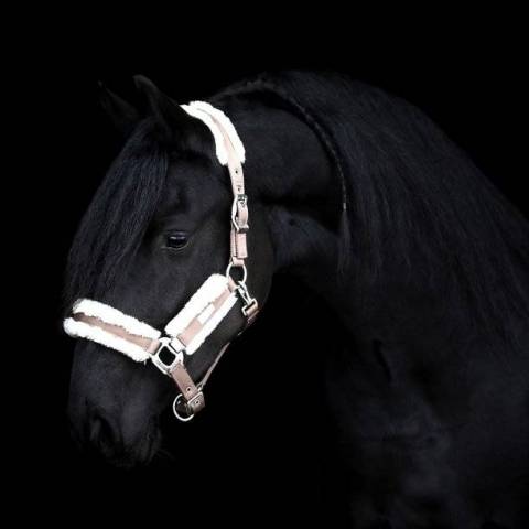 Licol Be Tempted SD DESIGN - Nougat Mousse