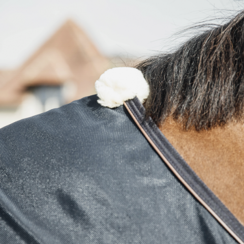 Chemise anti-mouches - Kentucky