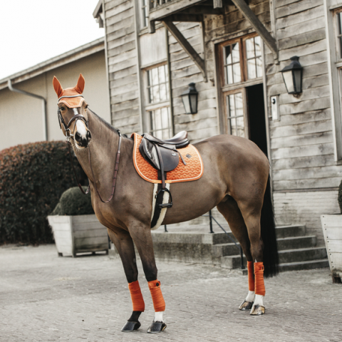 Tapis de selle Velvet ORANGE - Kentucky