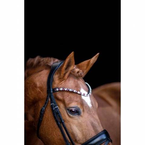 Frontal BE TEMPTED Cherry Milkshake Black - SD Design