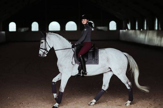 Tapis de selle No Boundaries Silver Cloud - Equestrian Stockholm