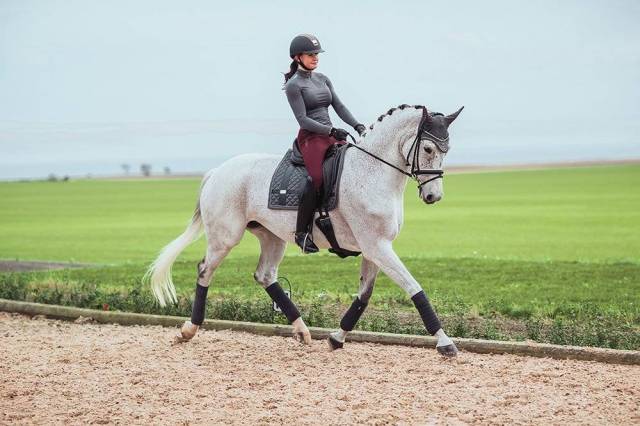 Tapis de selle No Boundaries Silver Cloud - Equestrian Stockholm