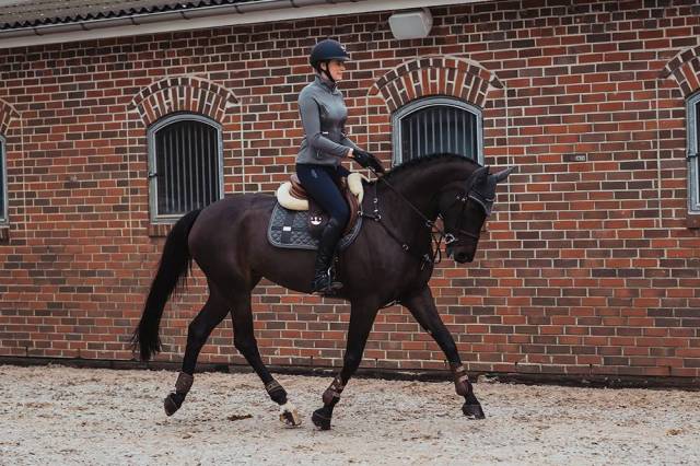 Tapis de selle No Boundaries Silver Cloud - Equestrian Stockholm