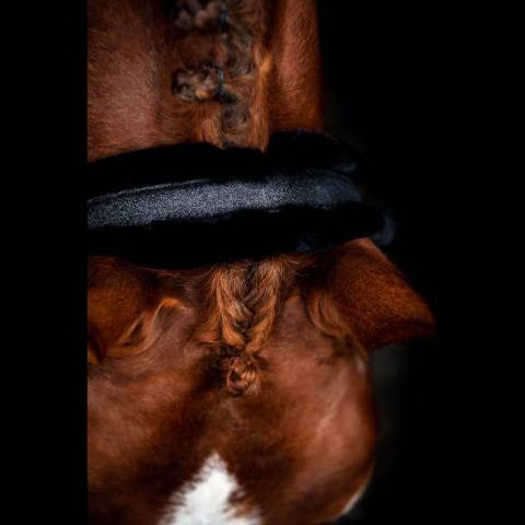 Licol Hollywood Glamorous SD DESIGN - Midnight Sparkle