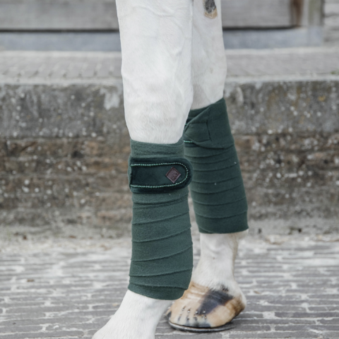Bandes de polo Velvet Pearl - Kentucky