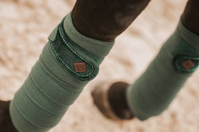 Bandes de polo Velvet Pearl - Kentucky