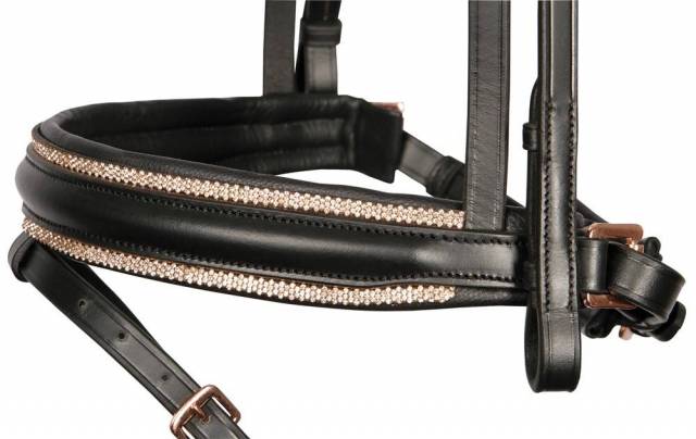 Bridon Rosegold Royal - Harry's Horse
