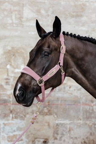 Licol Velvet - Kentucky