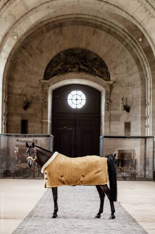 Couverture de présentation Velvet 160g Kentucky - Moutarde