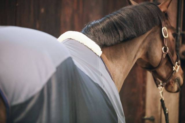 Chemise séchante Softshell - Kentucky