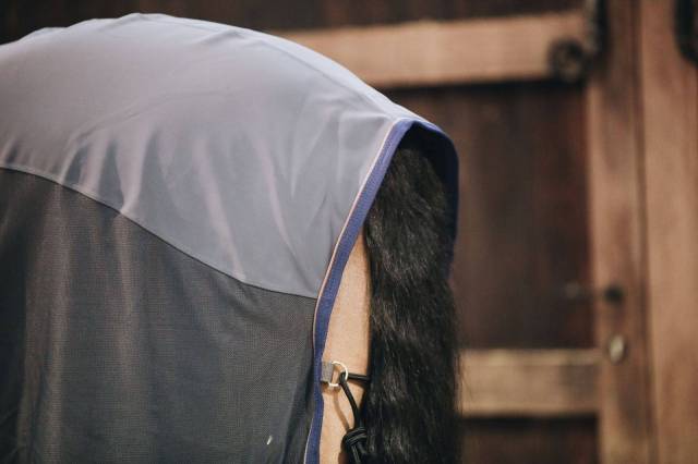 Chemise séchante Softshell - Kentucky