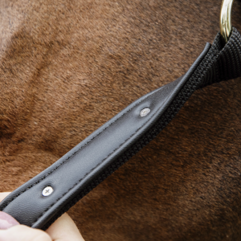 Licol anatomique nylon - Kentucky