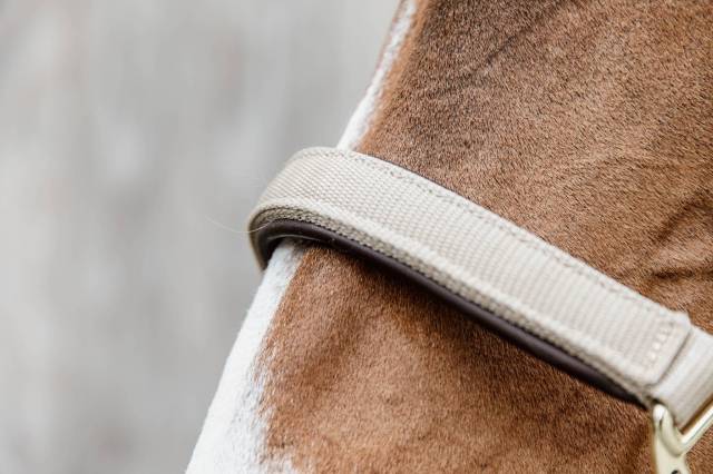 Licol anatomique nylon - Kentucky