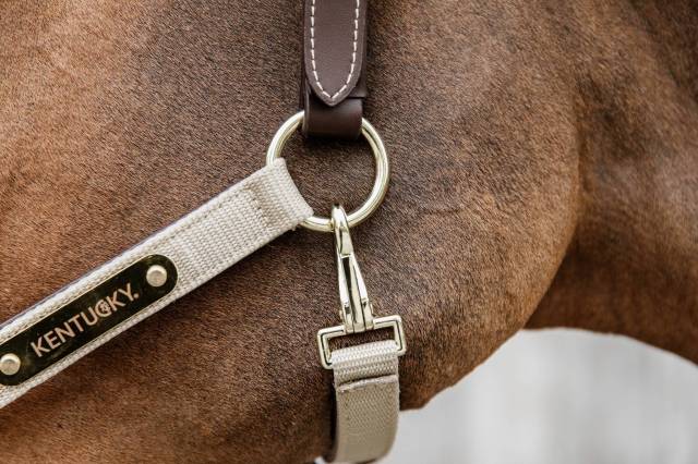 Licol anatomique nylon - Kentucky