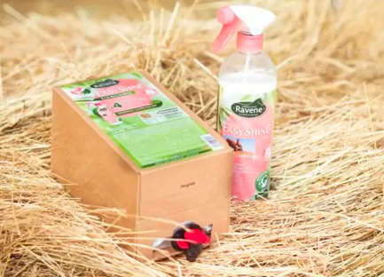 Démêlant Easy Shine - Ravene