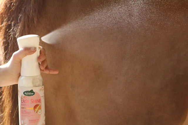 Démêlant Lustrant Easy Shine Intense - Ravene