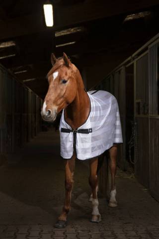 Chemise mesh - Riding World