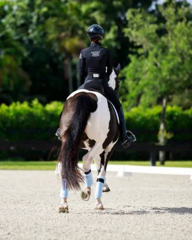 Top Base layer Black Silver - Equito