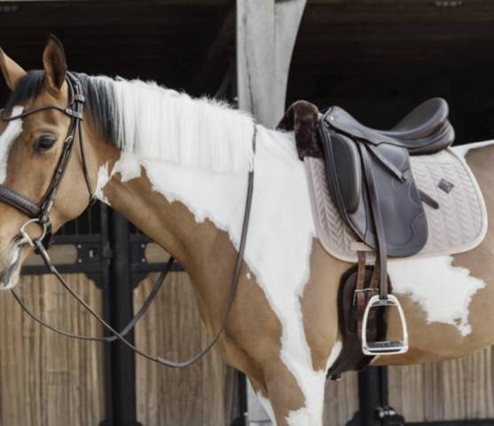 Tapis de selle Skin-Friendly Velvet - Kentucky