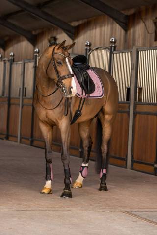 Tapis de selle Franka - HV Polo