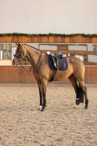 Tapis de selle Franka - HV Polo