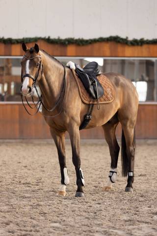 Tapis de selle Franka - HV Polo