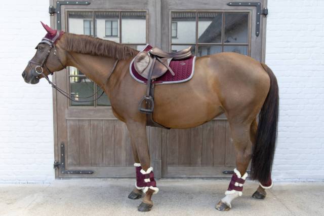 Guêtres Velvet Contrast - Kentucky