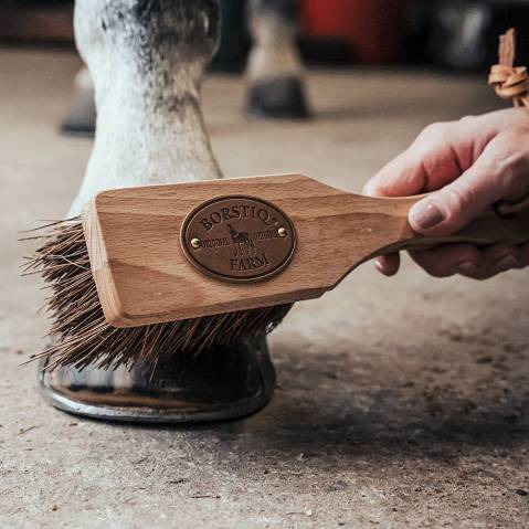 Brosse à sabots Islandaise - BORSTIQ FARM