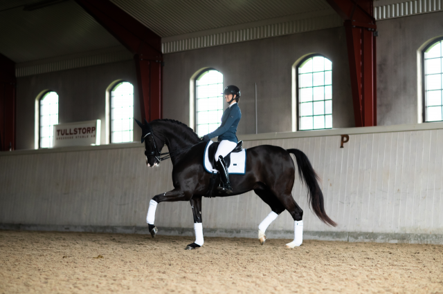 Tapis White Blue Meadow - Equestrian Stockholm