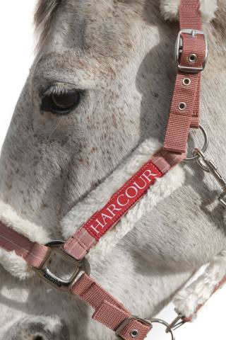 Licol Harcour Hizia (2 coloris)