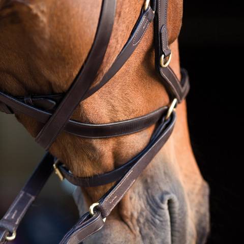 Bridon Rambo Micklem 2 Multibride - Horseware