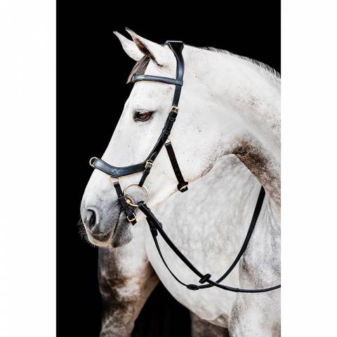 Bridon Rambo Micklem 2 Multibride - Horseware