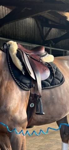 Selle Forestier Seoul neuve