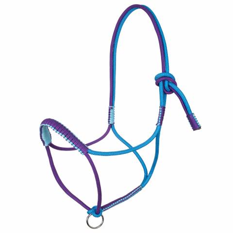 Licol Tressé Avec Décorations