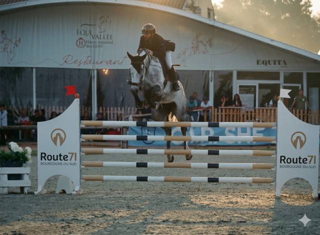 Jument de 6 ans sbs par couleur latour