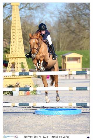 Poney As2/As1