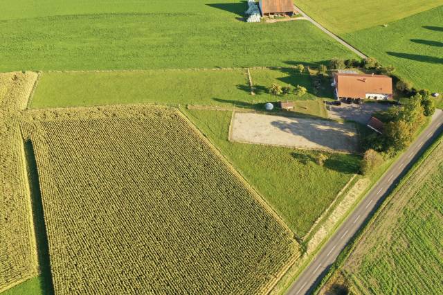 Magnifique ferme avec 3 boxes et paddock