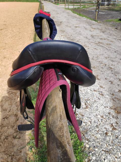 Selle en cuir mixte Abélis 