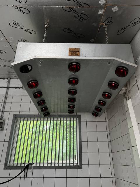 Solarium pour chevaux région bruxelles