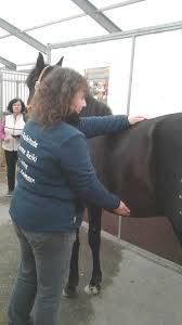énergéticienne animaux et humains