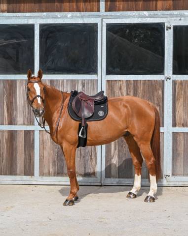 Tapis de selle Sony GEM